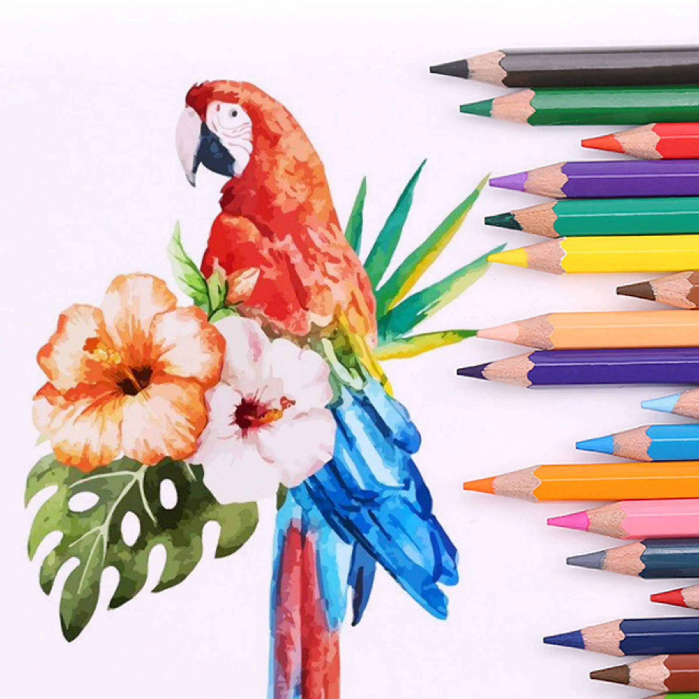 Drawing Color Pencil Set for Adults Coloring, Student Oil-Based Art Supplies, Multicolor Sketching Pencils, Perfect Gift for Creative DIY Painting