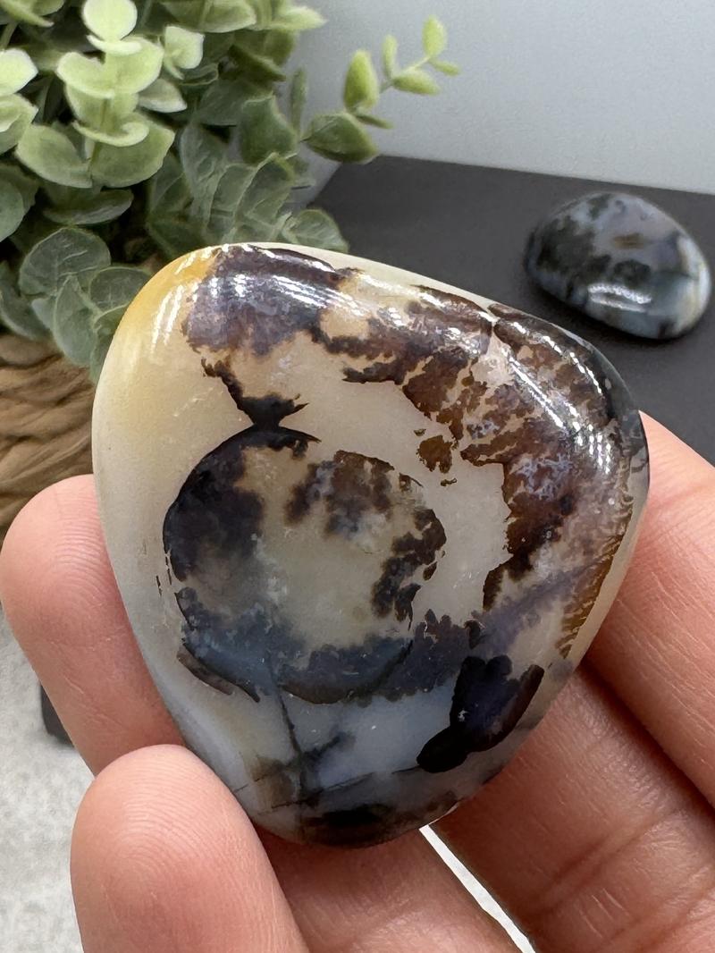 Dendritic Agate Stones Decor Ornaments