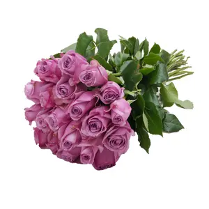 24 Farm Fresh Lavender Roses