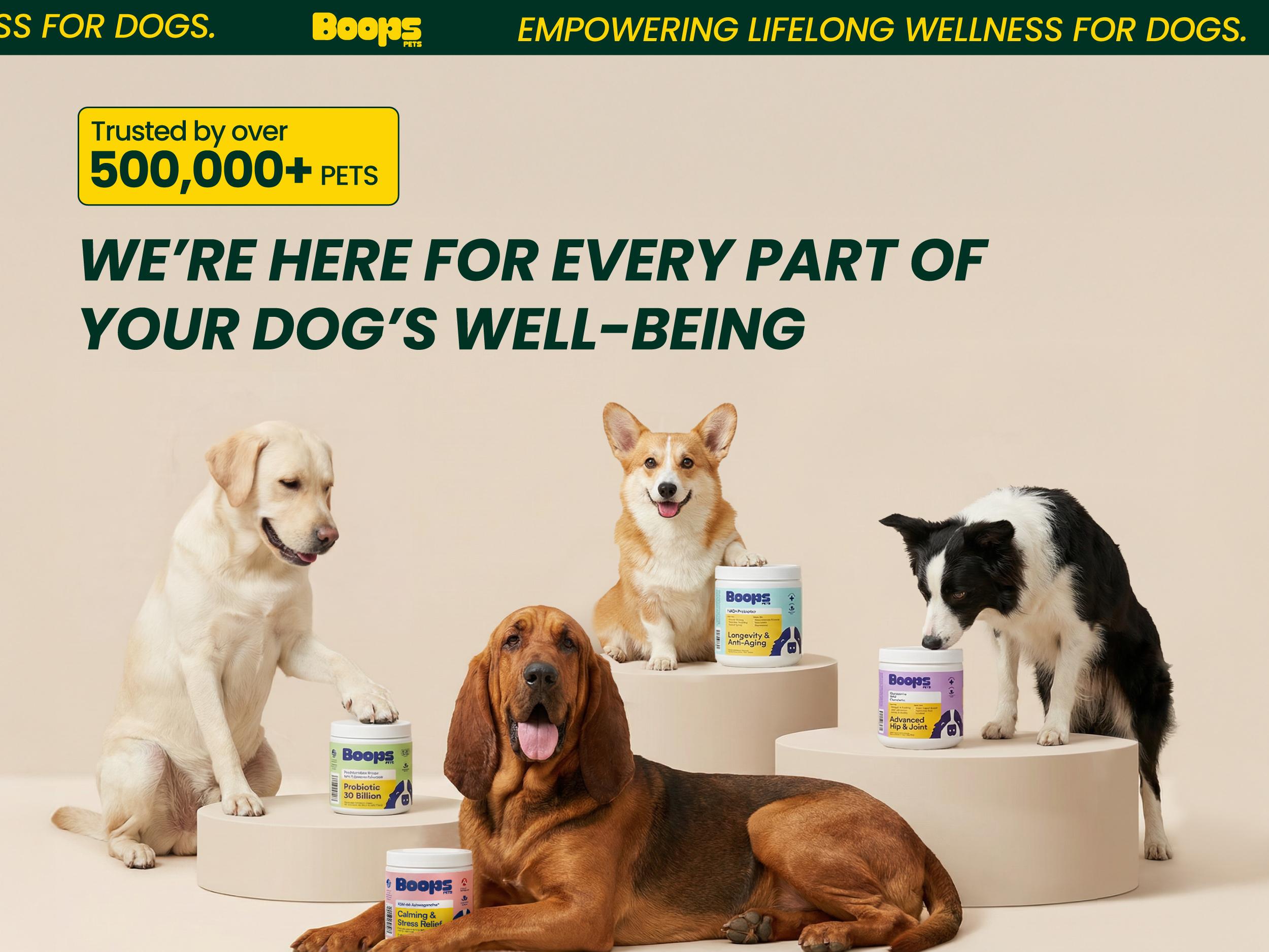 Boops Pets Probiotic 30 Billion for Dogs – 30 Billion CFU with Pre, Postbiotics & Digestive Enzymes – Supports Gut Health, Immunity, Loose Stools & Allergies – Filet Mignon Flavor – Vet Formulated – 60 Chews