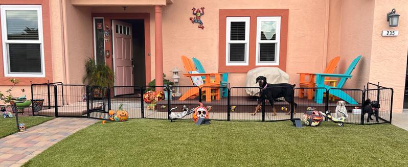 FXW Instant Unleashed Dog Playpen, Portable Pet Fence for Outdoor, RV Trips, and Camping, 24"/32"/40"/45" Height, 8/16 Panels for Small/Medium/Large Dogs