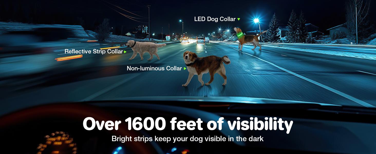 Light-Up Dog Collar,Rechargeable LED Dog Collar ,Durable and Waterproof Adjustable,for Night Walking, Glowing Dog Collar for Enhanced Visibility & Safety, Gift for Pets, Dog Accessories
