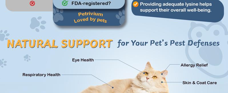 L-Lysine Supplement for Cats - Vitamins & Taurine for Immune Support & Allergy Relief - Lysine for Respiratory, Sneezing, Runny Nose, Eye Function - Natural Cat Drops - 60ML Chicken Flavor