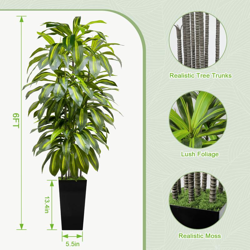 5FT 6FT Artificial Dracaena Tree – Tall Fake Indoor Floor Plant with Black or White Planter – Large Faux House Plants for Living Room Bedroom Office Home Decor, Gift Idea for Housewarming & Home Decorations