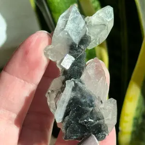 Black Chalcedony with Quartz Crystal Cluster – Druzy Quartz Formation – Natural Mineral Specimen