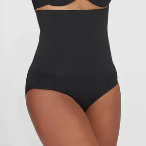 ASSETS SPANX High-Waist Brief Shapewear Ultra Women's Tummy Control Briefs