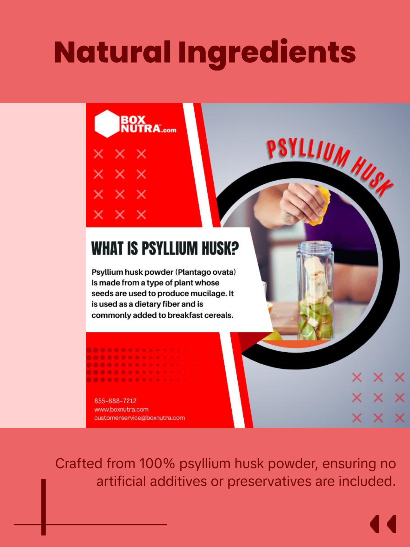 Box Nutra Psyllium Husk Powder - Healthcare Edible for Easy Digestion
