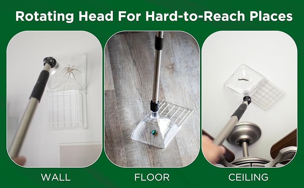 Bug Catcher Container & Extendable Stainless Steel Stick | See-Through Insect Trap for Spiders, Ants, Lizards | Humane Bug Catcher for Home | Educational Tool for Kids & Adults