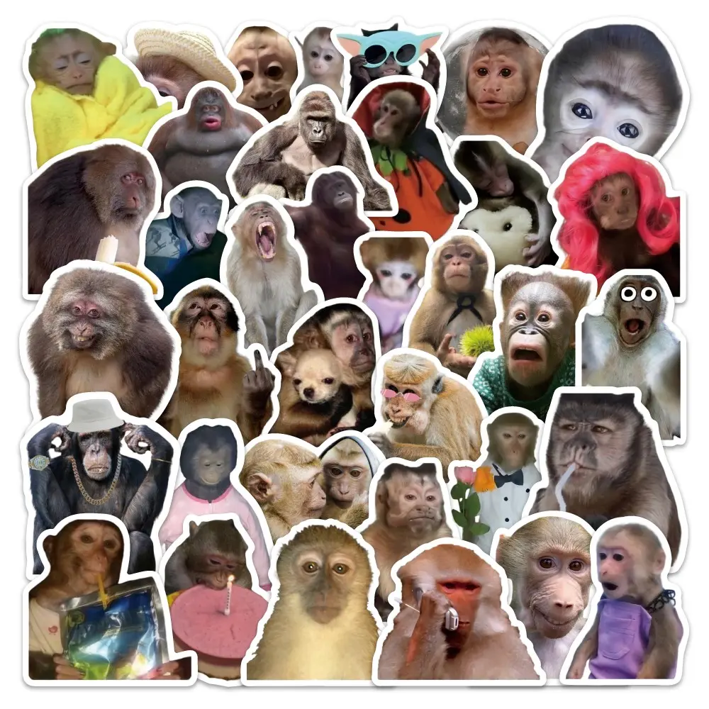54pcs Monkey Meme Stickers Set, Funny Abstract Style Animal Expressions, Fun Hand Account Decals for Journaling & Scrapbooking, Funny Stickers Pack