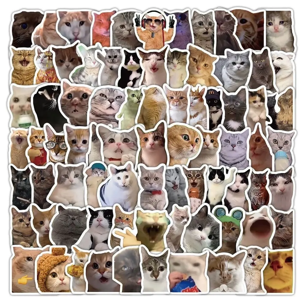 100pcs Funny Cat Meme Stickers, Waterproof Cute Aesthetic Cat Sticker Pack for Laptop, Water Bottle & Phone, Fun and Adorable Designs