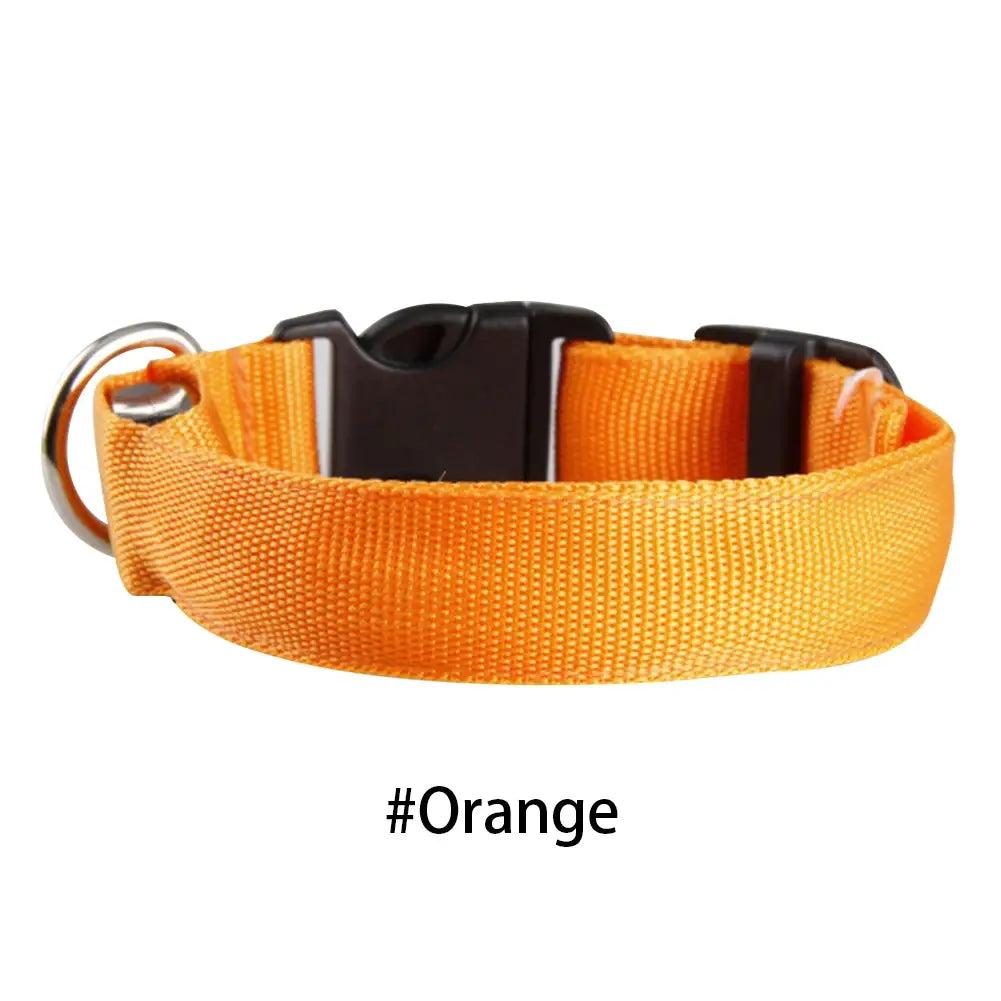 RoSide Safety Dog Collar Glowing Up Anti-Lost Pet Product for Small Dogs & Cats with Steady, Fast Flashing & Slow Flashing Modes and Colorful Options Adjustable Collar for Outings reflective cat pet travel small medium pull harness