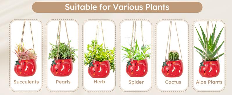 Mushroom Smiley Face Hanging Planter Pot with Drainage, Gardening Plant Gifts for Women Mother Plant Lovers - 3.9inch Opening