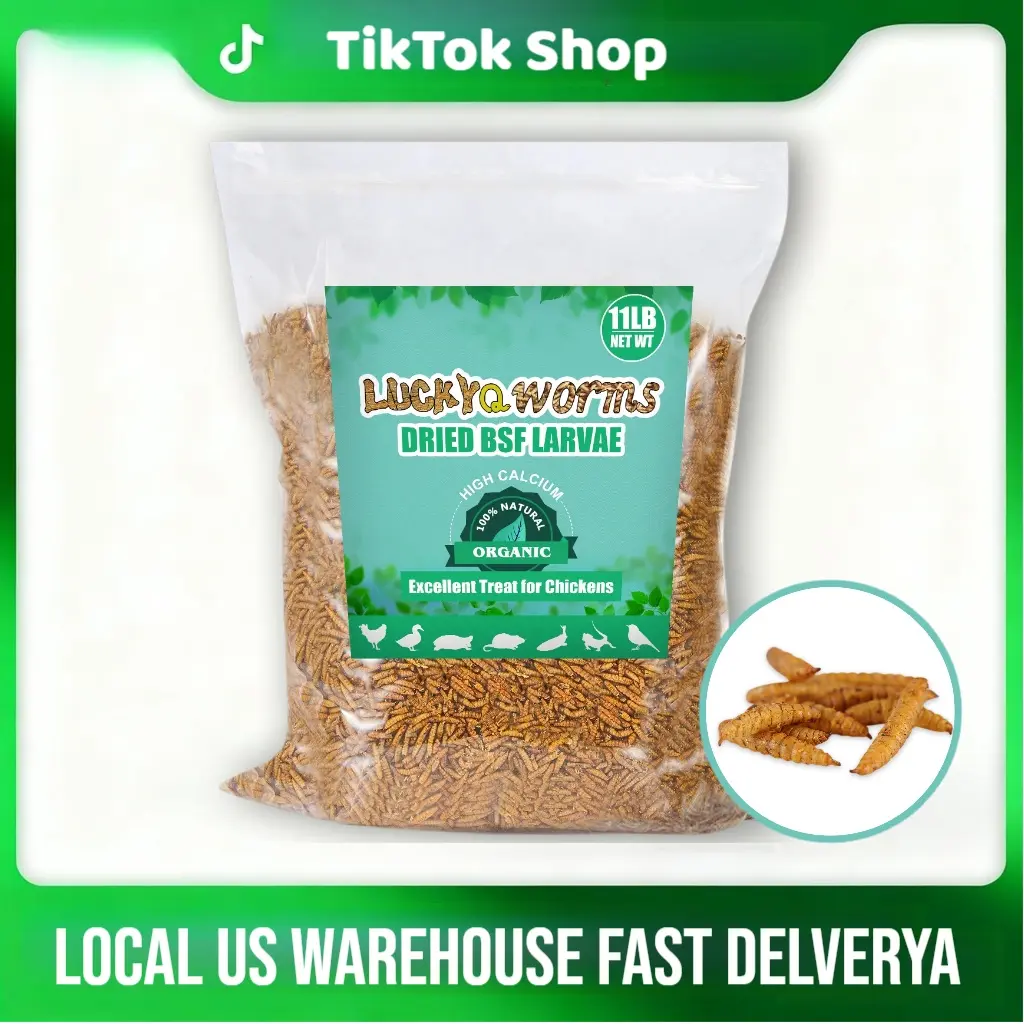 LuckyQworms Natural Dried Black Soldier Fly Larvae Pet Treats (5/10/11 lbs/20/40 LB) - High Protein, High Calcium - Boosts Egg Production, Strengthens Eggshells for Chickens, Supports All Ages Small Pet Healthy Growth