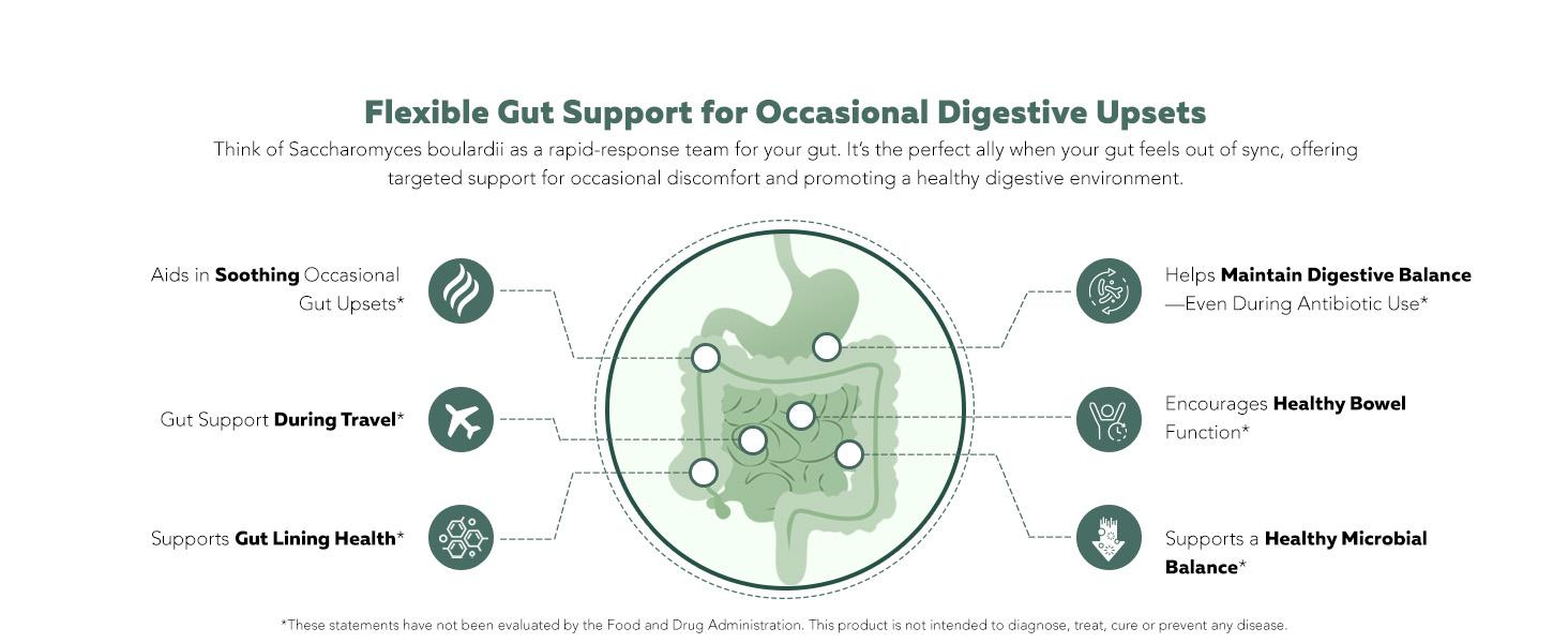 Organic Saccharomyces Boulardii | 10 Billion CFU – Clinically Validated CNCM I-1079 – Supports Gut & Digestive Health – 60 Count Healthcare Natural Organic Saccharomyces Boulardii | 10 Billion CFU – Clinically Validated CNCM I-1079 – Supports Gut & Digestive Health – 60 Count Healthcare Natural