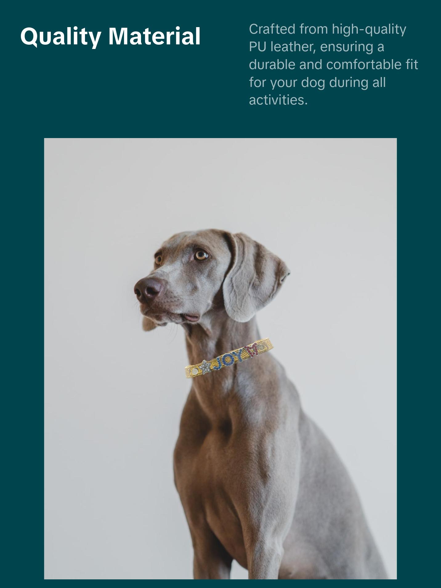 ALPHABET Shine Personalized Handmade PU Leather Dog Collar ALPHABET Shine Personalized Handmade PU Leather Dog Collar