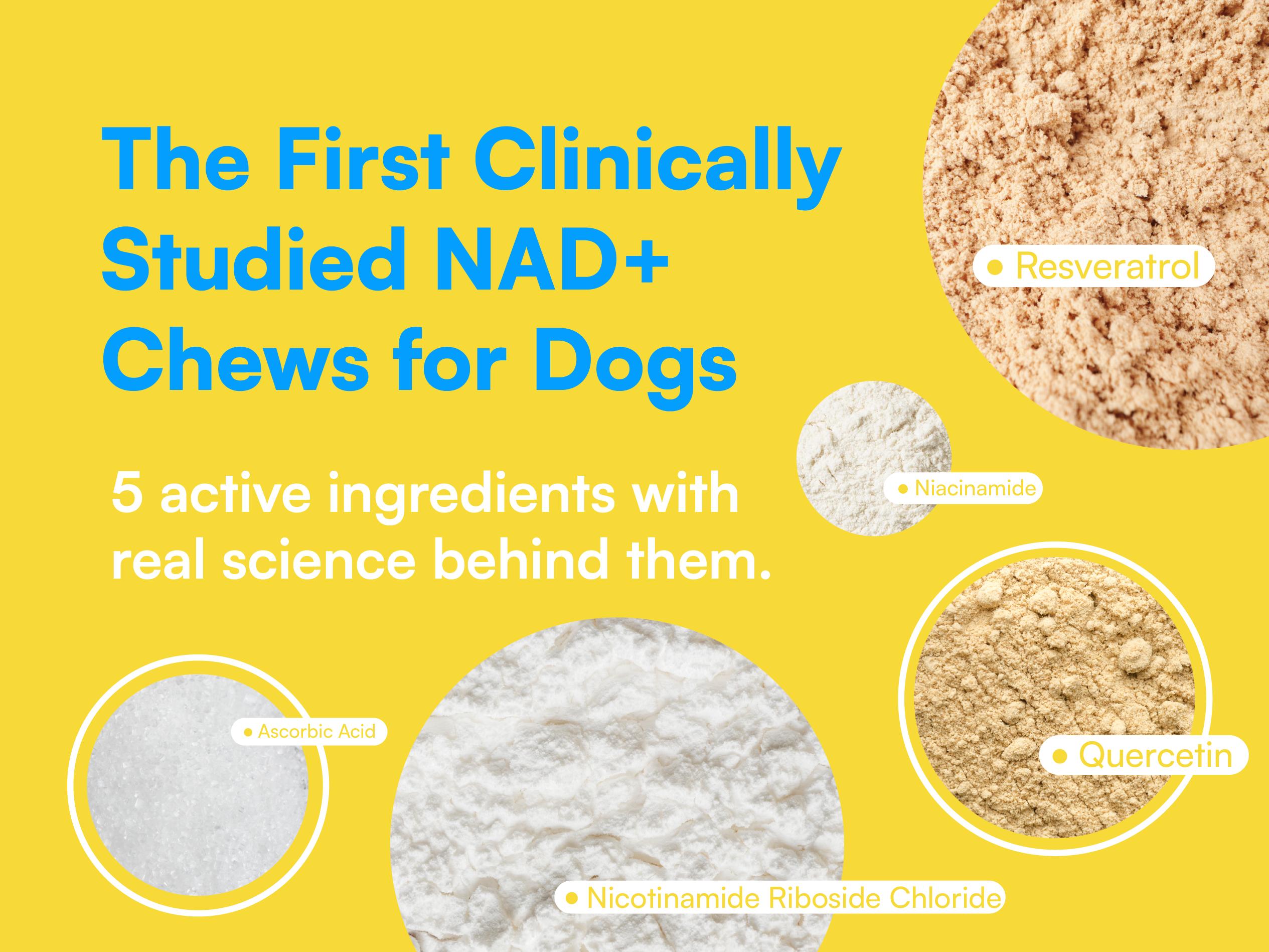 Boops Pets Longevity & Anti-Aging NAD+ Booster Soft Chews - 90 soft chews - Nicotinamide Riboside, Quercetin, Resveratrol - Made in the USA with Real Pasture-Raised Chicken and Real Wholefood Ingredients