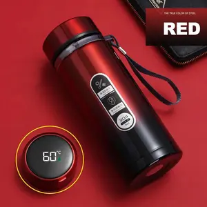 Smart Insulated Water Bottle with LED Temperature Display