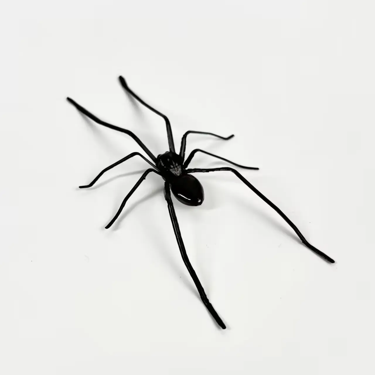 Spider Fridge Magnet, Fun Spider Design Decoration, Removable Indoor/Outdoor Magnetic Decals for Refrigerator, Garage Door, or Car