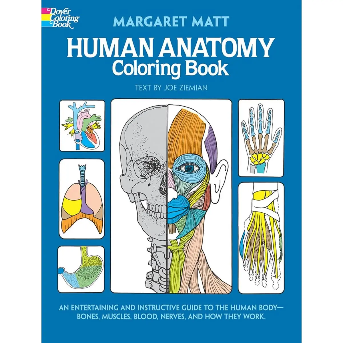 Human Anatomy Coloring Book: an Entertaining and Instructive Guide to ...