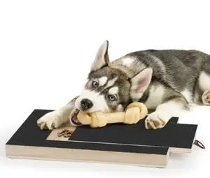 Dog Nail Scratch Board, Dog File Board Dog Nail Grinder Board Scratch Pad For Nails With Treat Box Pets Nails Trimming For All Dog Sizes