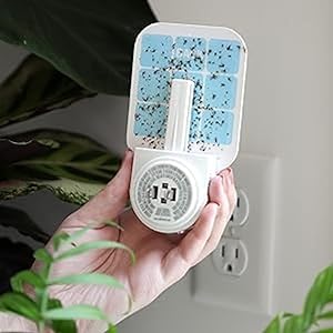 Home SH503 Indoor Plug-In Fly Trap Refill Pack of Glue Cards for SH502 Indoor Fly Trap – 3 Count (Pack of 1)