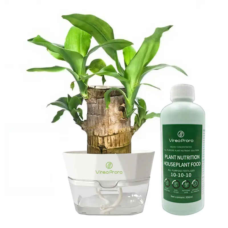 Brazilian Lucky Wood+Nutrient solution