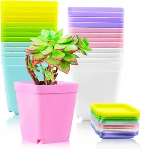 Flower Pots 24 Pack Colorful Square Plastic Plant Pots Succulent Planter Nursery Pots with Saucers Your Room Garden Office and Balcony