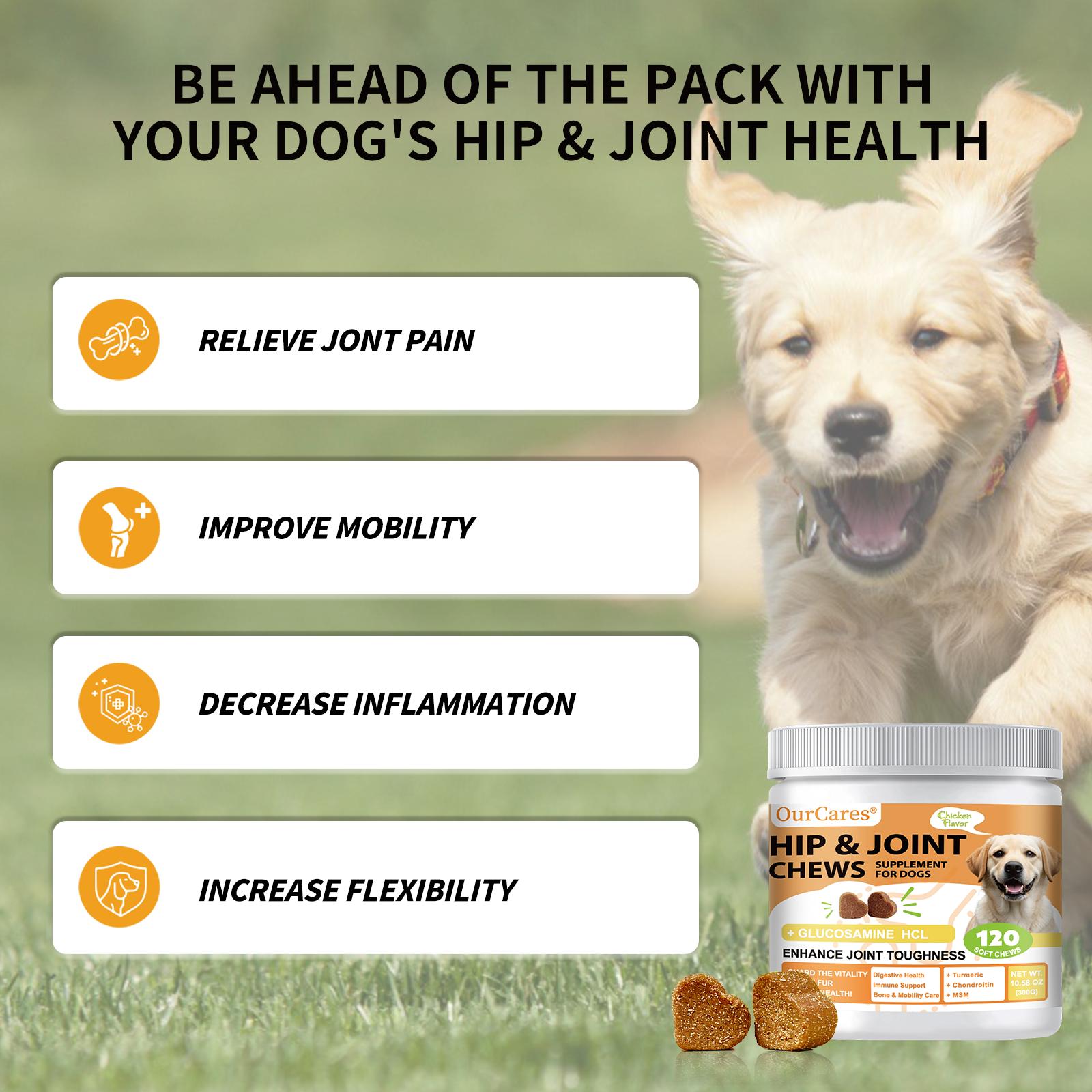 OurCares Hip and Joint for Dogs Glucosamine for Dogs Hip and Joint Supplement with Chondroitin MSM Vitamins C & E - Chicken Flavor 120 Soft Chews Pet Daily Chews Snacks OurCares Hip and Joint for Dogs Glucosamine for Dogs Hip and Joint Supplement with Chondroitin MSM Vitamins C & E - Chicken Flavor 120 Soft Chews Pet Daily Chews Snacks