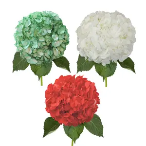Painted Hydrangea Christmas Assorted Box