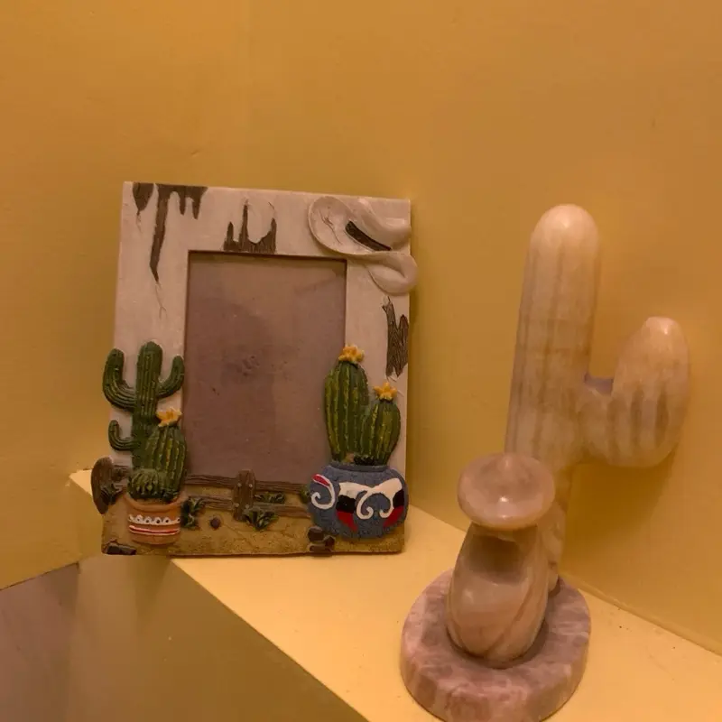 Desert Cactus Western picture Frame