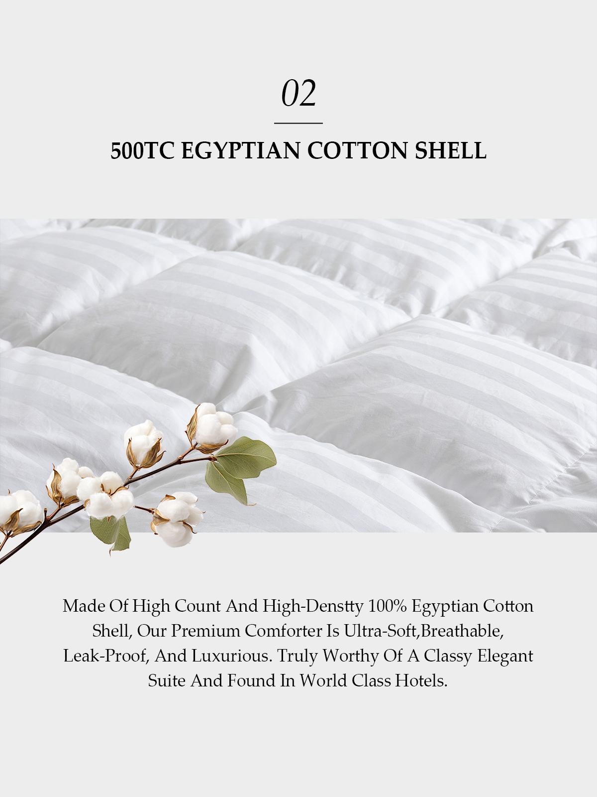 PEACE NEST 100% Egyptian Cotton 500TC All Season Goose Down Comforter Natural Hungarian Down Made in Germany Fill Year-round Warmth 1000 Fill Power Machine Washable Soft & Cozy Bedding