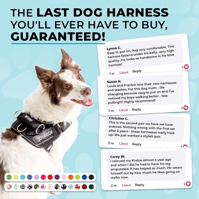 Joyride 2.0 Starry Night – Glow in the Dark No Pull Dog Harness for Medium Dogs Border Collie Dual Adjustable Pressure Release Design Reflective Trim Padded Chest Vest XS S M L XL