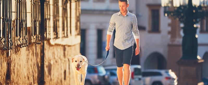 HOBIBEAR Wide-Fit Shoes Spring and Autumn Men's Shoes Lightweight Wear-Resistant Outdoor Casual Shoes Wide Last Single Shoes Fitness Sports Shoes