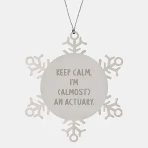 Funny Actuary Gifts from Friends, 'Keep Calm, I'm (almost) An Actuary.' Snowflake Ornament for Actuary Men, Unique Christmas Unique Gifts for Actuary Colleagues, Stainless Steel Snowflake Ornament