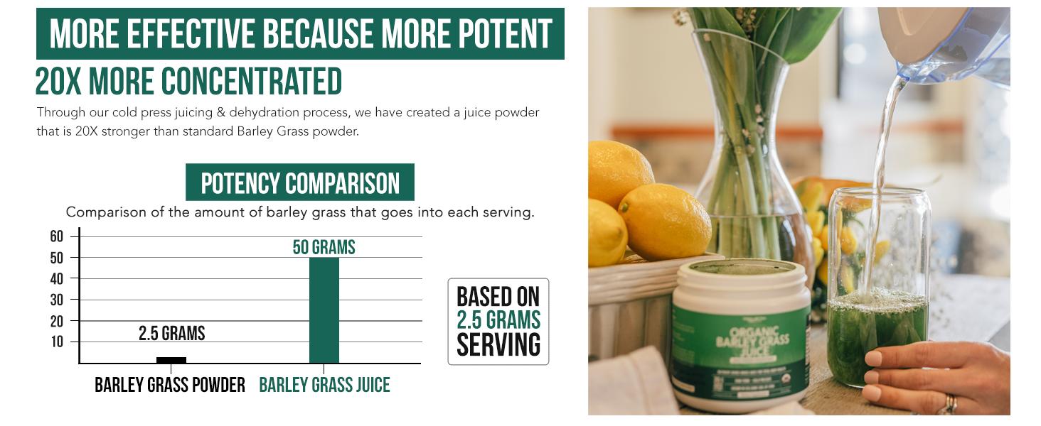 Triquetra Health Organic Barley Grass Juice Powder - Cold-Pressed, Raw Form Health & Nutrition Dietary Supplement