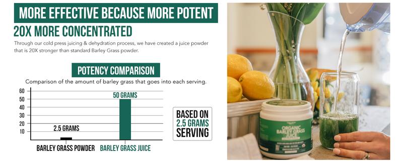 Organic Barley Grass Juice Powder -Cold Pressed | Raw Form Healthcare Dietary