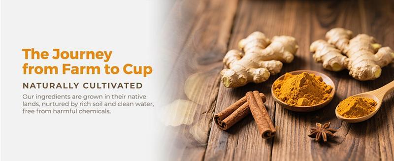 Turmeric Tea Herbal Anti-Inflammatory Tea, 100% natural, eco-friendly tea bags. Contains turmeric, ginger, and cinnamon. Biodegradable tea bags. Sugar-free, caffeine-free, gluten-free, vegan healthy beverage. good herbal remedy