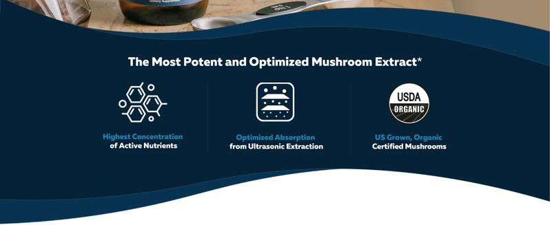 MycoMax Mushroom Complex - 70% Beta Glucans Healthcare Tea