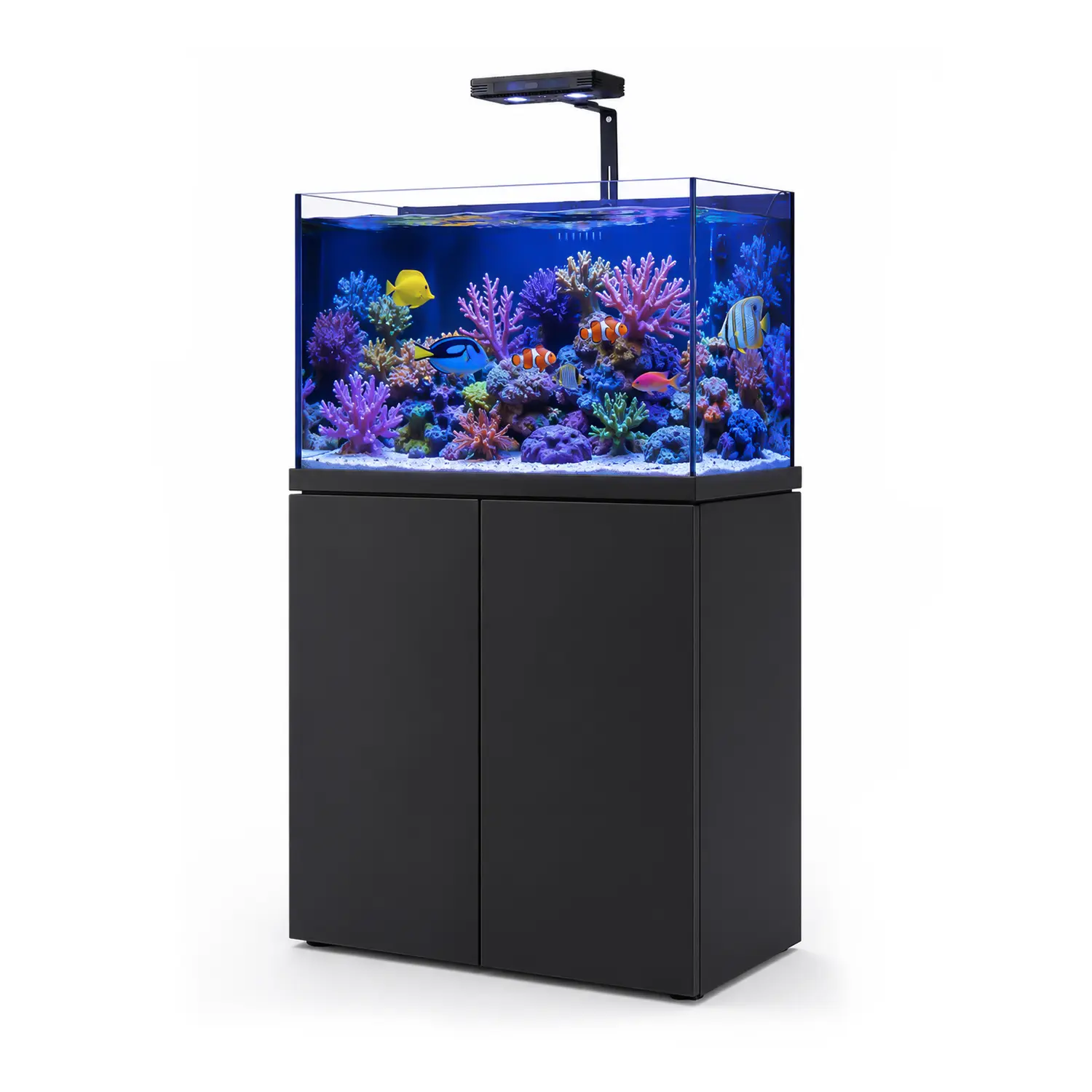 Aqua Dream 90 Gal Tempered Glass Coral Reef Aquarium Fish Tank Complete Set with Black Cabinet