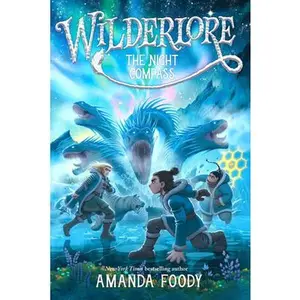 The Night Compass -- Amanda Foody, Paperback