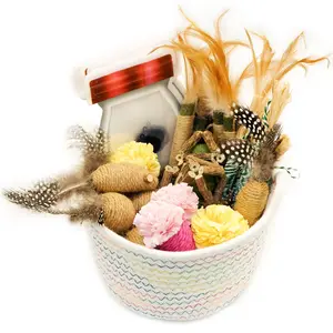 [Gift Pack] 61 Pack Natural Play Collection - Silvervine Stick & Catnip Raffia