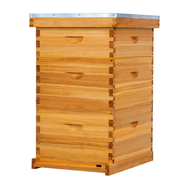 MayBee Hives Cedar Waterproof 8/10 Frame 3-Layer Beekeeping Complete Starter Kit, Easy to Assemble, with 2 Deep Hive Boxes, 1 Honey Super Box, Premium Wooden Frames, Beeswax-Plastic Foundation, Durability, Dovetail Joints, Telescoping Cover, 2 Deep Brood