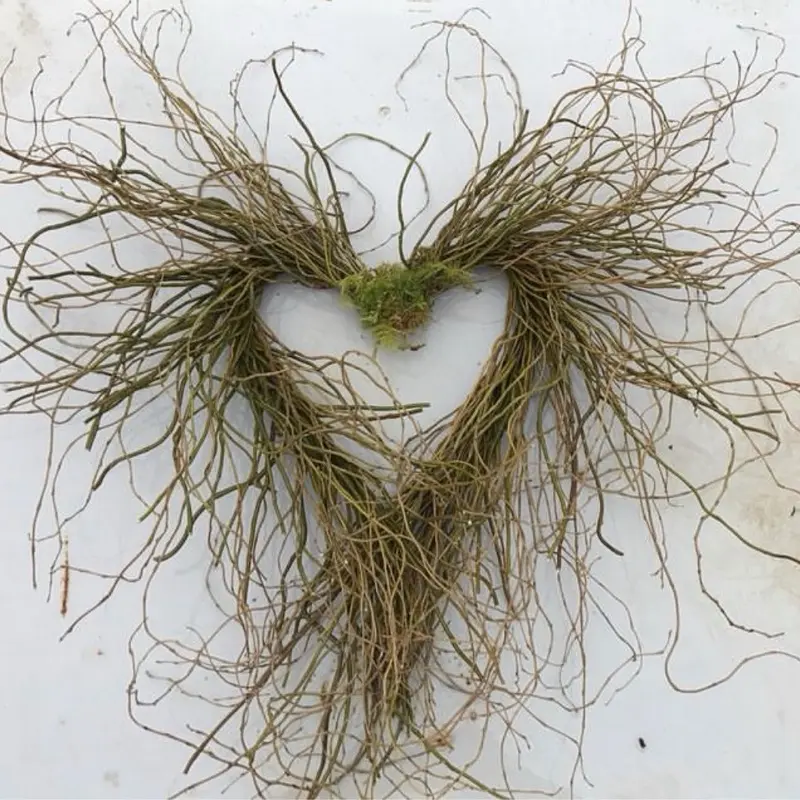 Curly willow Heart wreaths