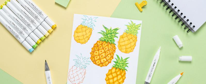 Ohuhu Alcohol Markers: Brush & Fine Dual Tips - 48 Colors - Alcohol-based Art Sketch Marker Set for Artist Adults Coloring Illustration - Refillable - AP Certificated - Honolulu B Series of Ohuhuart