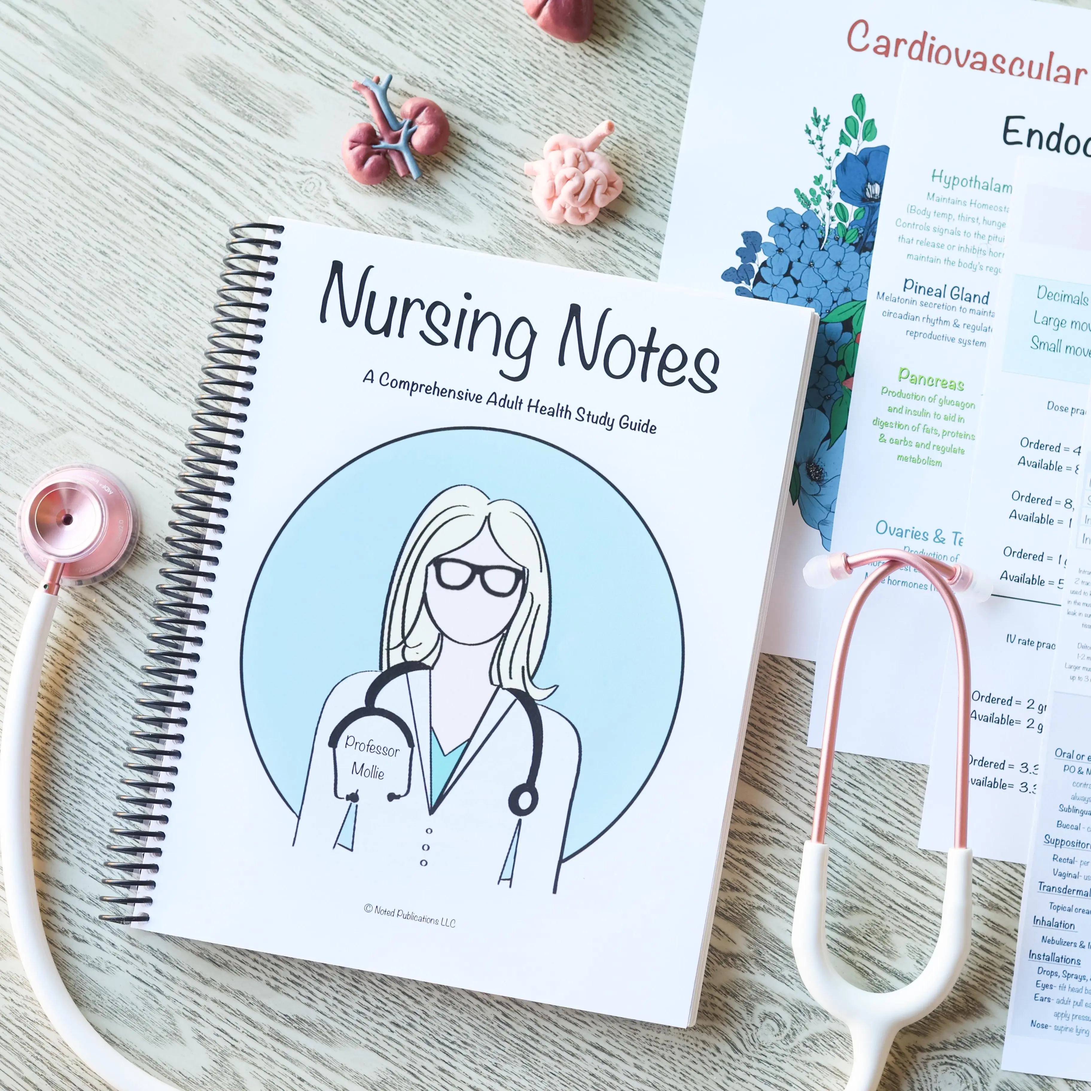 Nursing School Notebook (Spiral)