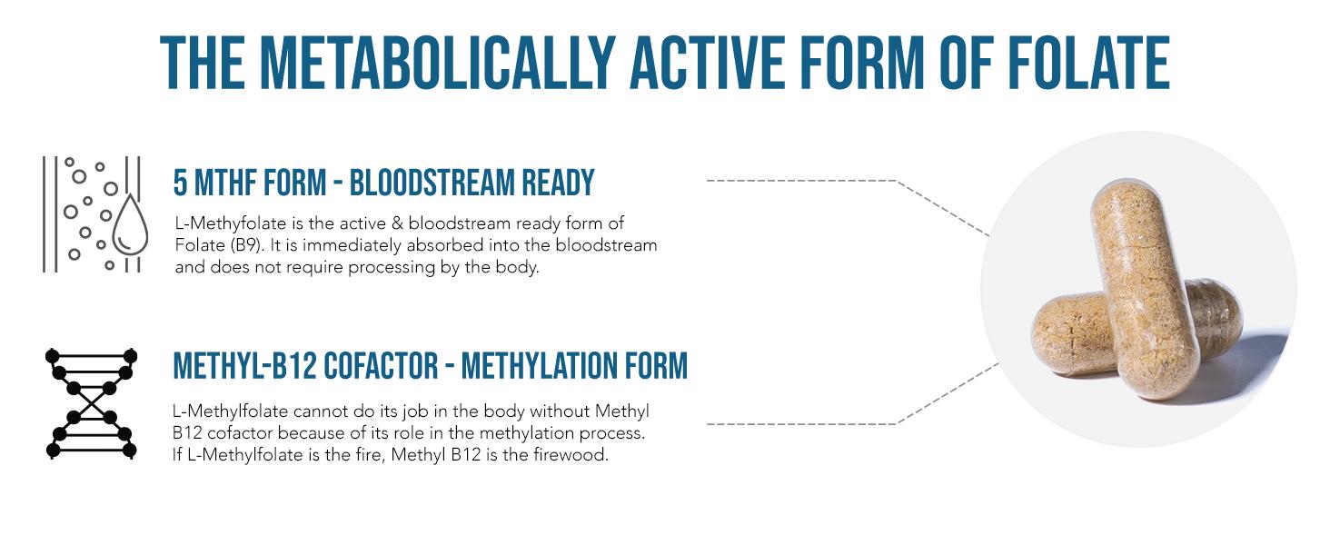 L-Methylfolate 15mg Professional Strength, Active 5-MTHF Form-Supports Mood, Methylation, Cognition–Bioactive forms of Vitamin B9 & B12 (60 Capsules) fitness dietary