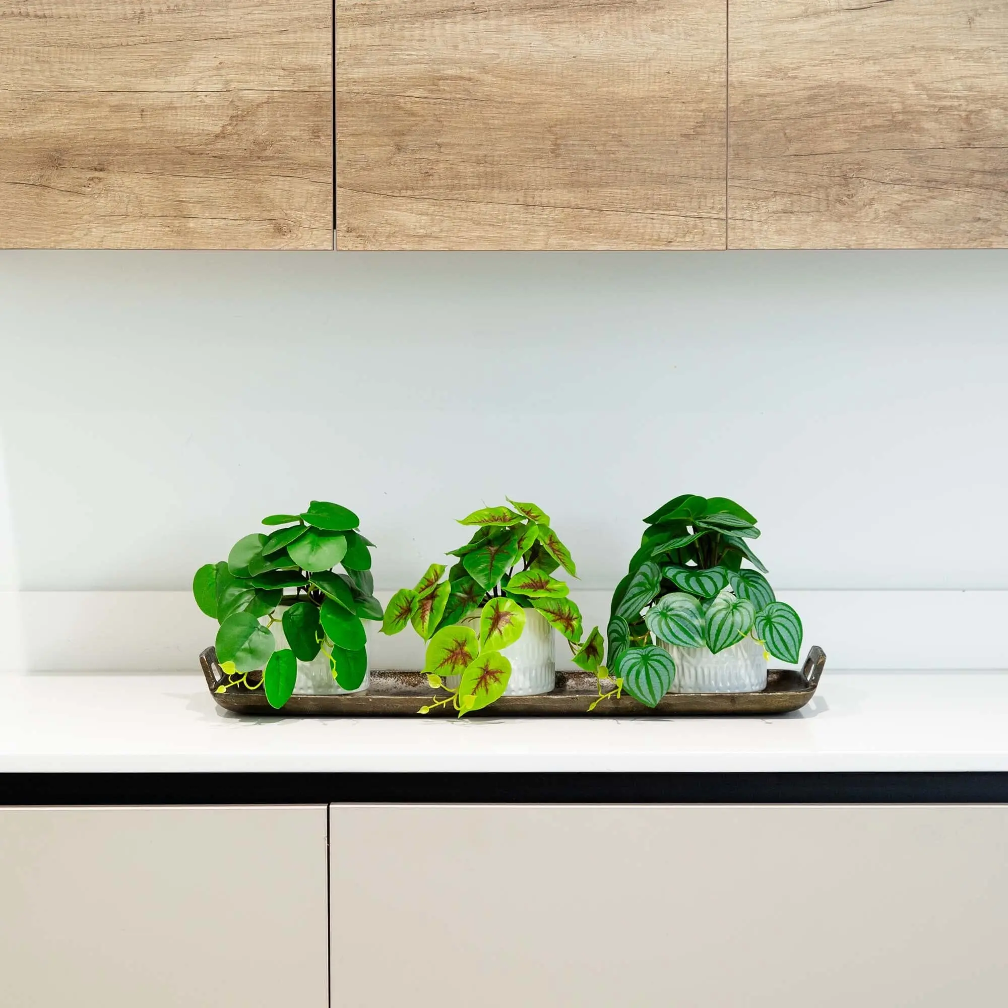 Artificial Faux Greenery 3-Piece Synthetic Plant Decor Set - 8 in Mixed Greens in Ceramic Planter, Elevated Home Artificial Plants for Home Decor Supplies