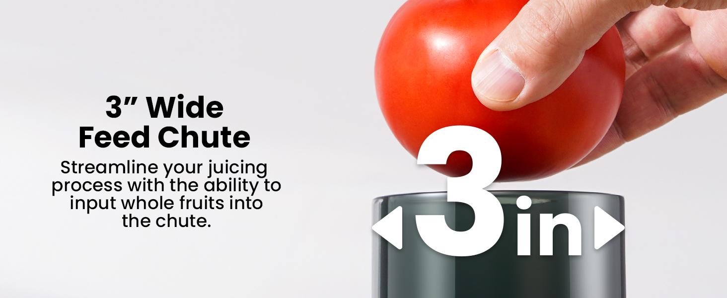 GDOR 800W Juicer Machines, Extra Large 3 Inch Feed Chute Juicer for Whole Fruits and Vegs, Centrifugal Juice Maker with High Juice Yield, Easy to Clean with Brush, 2 Speeds, BPA-Free, Silver GDOR 800W Juicer Machines, Extra Large 3 Inch Feed Chute Juicer for Whole Fruits and Vegs, Centrifugal Juice Maker with High Juice Yield, Easy to Clean with Brush, 2 Speeds, BPA-Free, Silver