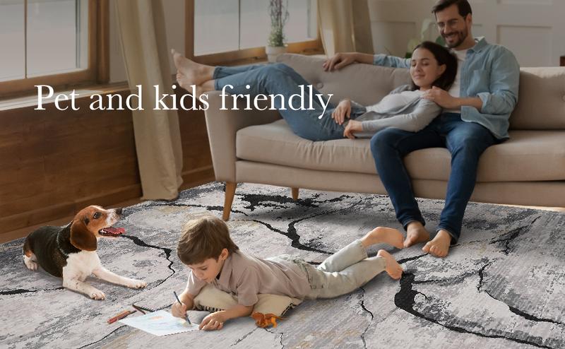 GARVEE Abstract Washable Area Rug 5x7 Large Modern Rug for Bedroom Soft Non Slip Living Room Rugs Indoor Contemporary Floor Cover Ultra Thin Grey Rugs Home Decor Carpet for Dining Room