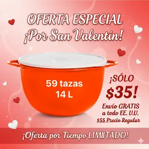Tazon tupperware 14 litros